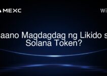 Paano Magdagdag ng Likido sa Solana Token? Paano Magdagdag ng Likido sa Solana Token?