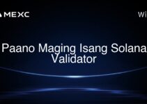 Paano Maging Isang Solana Validator Paano Maging Isang Solana Validator
