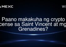 Paano makakuha ng crypto license sa Saint Vincent at mga Grenadines? Paano makakuha ng crypto license sa Saint Vincent at mga Grenadines?