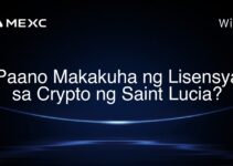 Paano Makakuha ng Lisensya sa Crypto ng Saint Lucia? Paano Makakuha ng Lisensya sa Crypto ng Saint Lucia?