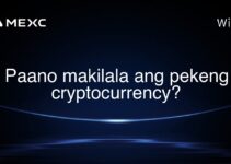 Paano makilala ang pekeng cryptocurrency? Paano makilala ang pekeng cryptocurrency?