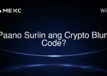 Paano Suriin ang Crypto Blum Code? Paano Suriin ang Crypto Blum Code?