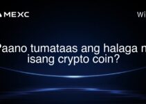 Paano tumataas ang halaga ng isang crypto coin? Paano tumataas ang halaga ng isang crypto coin?