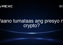 Paano tumataas ang presyo ng crypto? Paano tumataas ang presyo ng crypto?
