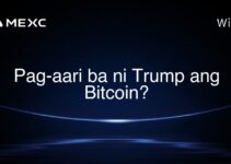 Pag-aari ba ni Trump ang Bitcoin? Pag-aari ba ni Trump ang Bitcoin?