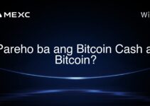 Pareho ba ang Bitcoin Cash at Bitcoin? Pareho ba ang Bitcoin Cash at Bitcoin?