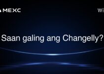 Saan galing ang Changelly? Saan galing ang Changelly?