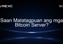 Saan Matatagpuan ang mga Bitcoin Server? Saan Matatagpuan ang mga Bitcoin Server?