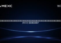 上海協力機構(SCO)における暗号通貨は合法か? 上海協力機構(SCO)における暗号通貨は合法か?