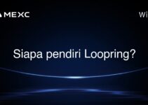Siapa pendiri Loopring? Siapa pendiri Loopring?