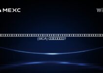 中美洲一体化系统(SICA)中的加密货币是否合法? 中美洲一体化系统(SICA)中的加密货币是否合法?