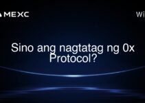 Sino ang nagtatag ng 0x Protocol? Sino ang nagtatag ng 0x Protocol?