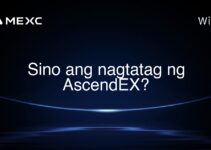Sino ang nagtatag ng AscendEX? Sino ang nagtatag ng AscendEX?