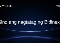 Sino ang nagtatag ng Bitfinex? Sino ang nagtatag ng Bitfinex?