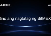 Sino ang nagtatag ng BitMEX? Sino ang nagtatag ng BitMEX?