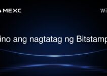 Sino ang nagtatag ng Bitstamp? Sino ang nagtatag ng Bitstamp?