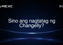 Sino ang nagtatag ng Changelly? Sino ang nagtatag ng Changelly?