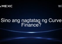 Sino ang nagtatag ng Curve Finance? Sino ang nagtatag ng Curve Finance?