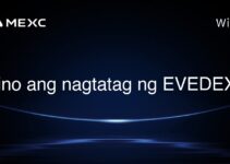 Sino ang nagtatag ng EVEDEX? Sino ang nagtatag ng EVEDEX?