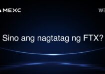 Sino ang nagtatag ng FTX? Sino ang nagtatag ng FTX?