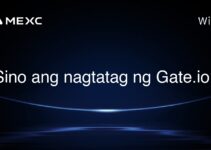 Sino ang nagtatag ng Gate.io? Sino ang nagtatag ng Gate.io?