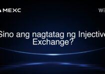 Sino ang nagtatag ng Injective Exchange? Sino ang nagtatag ng Injective Exchange?