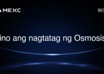 Sino ang nagtatag ng Osmosis? Sino ang nagtatag ng Osmosis?