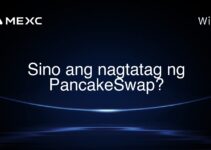 Sino ang nagtatag ng PancakeSwap? Sino ang nagtatag ng PancakeSwap?