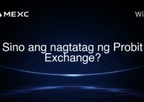 Sino ang nagtatag ng Probit Exchange? Sino ang nagtatag ng Probit Exchange?