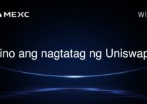 Sino ang nagtatag ng Uniswap? Sino ang nagtatag ng Uniswap?