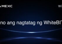 Sino ang nagtatag ng WhiteBIT? Sino ang nagtatag ng WhiteBIT?