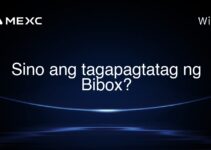 Sino ang tagapagtatag ng Bibox? Sino ang tagapagtatag ng Bibox?