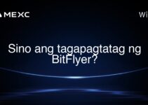 Sino ang tagapagtatag ng BitFlyer? Sino ang tagapagtatag ng BitFlyer?