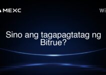 Sino ang tagapagtatag ng Bitrue? Sino ang tagapagtatag ng Bitrue?