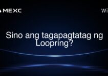 Sino ang tagapagtatag ng Loopring? Sino ang tagapagtatag ng Loopring?