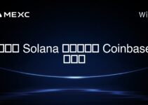 如何將 Solana 網絡添加到 Coinbase 錢包? 如何將 Solana 網絡添加到 Coinbase 錢包?