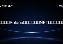 用户可以在Solana区块链上交易NFT的平台是什么? 用户可以在Solana区块链上交易NFT的平台是什么?