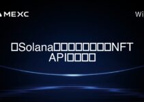 SolanaブロックチェーンでリアルタイムのNFT市場データにアクセスするためのベストAPIは何ですか? SolanaブロックチェーンでリアルタイムのNFT市場データにアクセスするためのベストAPIは何ですか?
