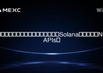 你可以推薦哪些教育資源來更好地理解Solana區塊鏈上的NFT APIs? 你可以推薦哪些教育資源來更好地理解Solana區塊鏈上的NFT APIs?