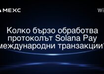 Solana Pay 協議全球交易處理速度有多快? Solana Pay 協議全球交易處理速度有多快?