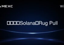 如何進行Solana的Rug Pull 如何進行Solana的Rug Pull