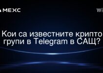 印度著名的 Telegram 加密群組有哪些？