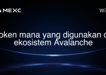 token mana yang digunakan di ekosistem Avalanche token mana yang digunakan di ekosistem Avalanche