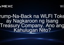 Trump-Na-Back na WLFI Token ay Nagkaroon ng Isang Treasury Company. Ano ang Kahulugan Nito? Trump-Na-Back na WLFI Token ay Nagkaroon ng Isang Treasury Company. Ano ang Kahulugan Nito?