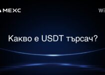 USDTシーカーとは? USDTシーカーとは?