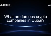 What are famous crypto companies in Dubai? What are famous crypto companies in Dubai?