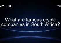 What are famous crypto companies in South Africa? What are famous crypto companies in South Africa?