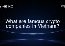 What are famous crypto companies in Vietnam? What are famous crypto companies in Vietnam?