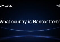 What country is Bancor from? What country is Bancor from?