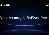What country is BitFlyer from? What country is BitFlyer from?